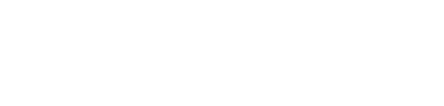 Palantir Logo